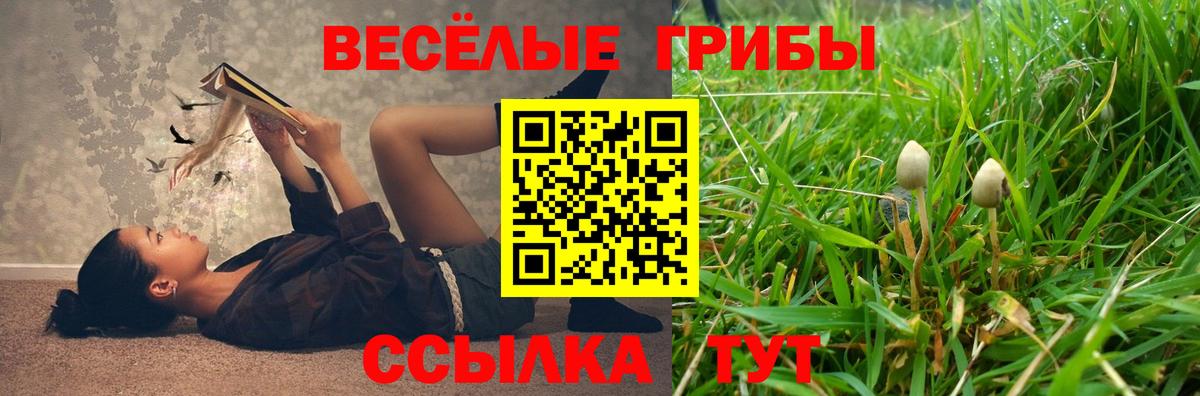Галлюциногенные грибы Cubensis Людиново